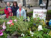 Lions Ladies at their plant stall in Honiton