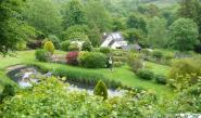 View over Hedgerows as the rain stops