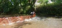 Ducks escape on fast flowing river