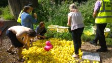 sorting out the ducks after race